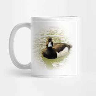 Greater scaup Mug